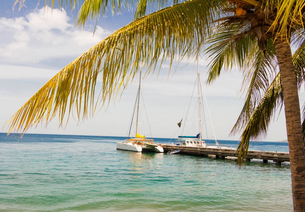 plage Martinique location catamaran